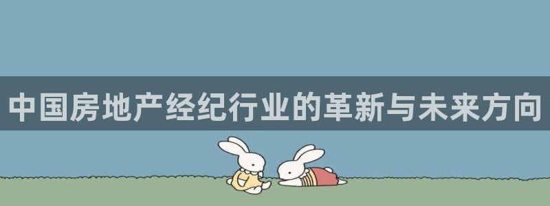 和记官网登录：中国房地产经纪行业的革新与未来方向