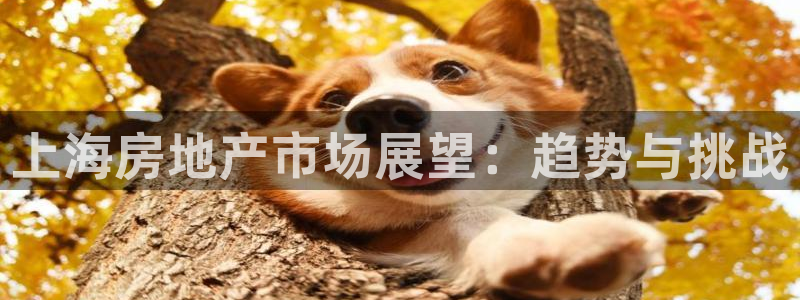 和记黄浦官网：上海房地产市场展望：趋势与挑战
