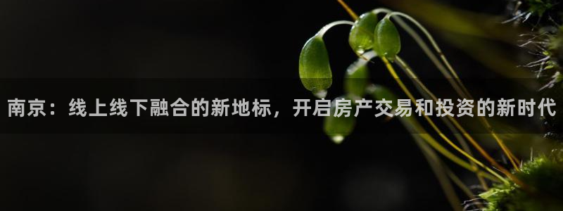 和记电官网：南京：线上线下融合的新地标，开启房产交易和投资的