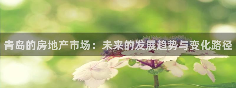 和记电讯澳门官网：青岛的房地产市场：未来的发展趋势与变化路径
