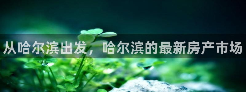 和记娱乐场所官网：从哈尔滨出发，哈尔滨的最新房产市场