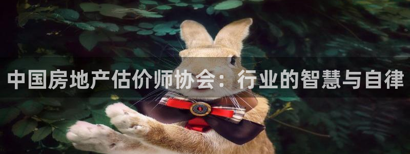 和记国际官网：中国房地产估价师协会：行业的智慧与自律