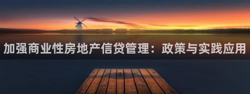 和记娱乐在线官网：加强商业性房地产信贷管理：政策与实践应用