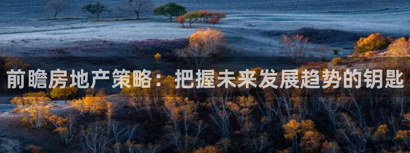 h88和记官网登录：前瞻房地产策略：把握未来发展趋势的钥匙