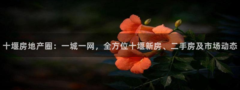 和记h88永久官网：十堰房地产圈：一城一网，全方位十堰新房、