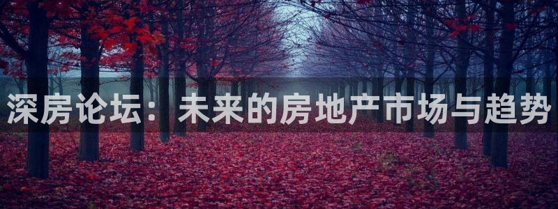 和记3电讯官网：深房论坛：未来的房地产市场与趋势