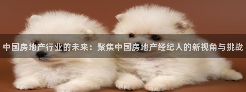 和记188官网：中国房地产行业的未来：聚焦中国房地产经纪人的