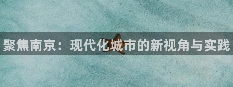 和记黄埔官网攻略：聚焦南京：现代化城市的新视角与实践