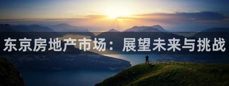 和记电讯官网澳门：东京房地产市场：展望未来与挑战
