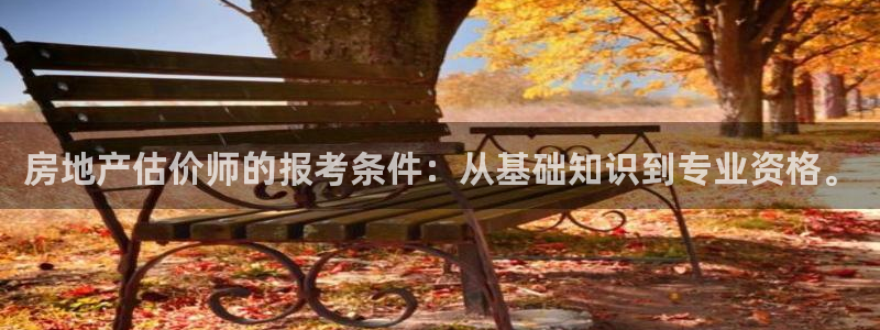 和记娱答疑h88285官网：房地产估价师的报考条件：从基础知