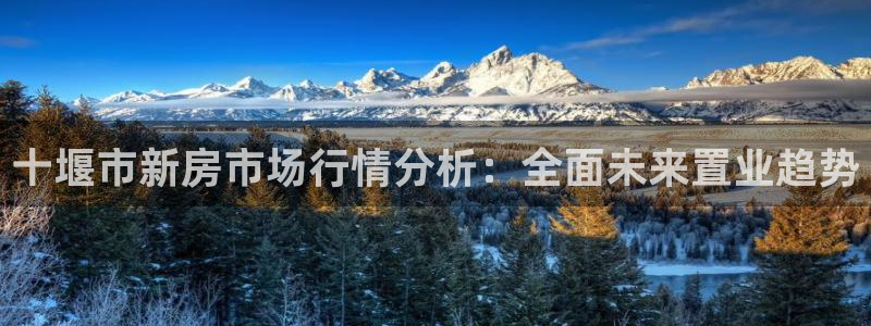 香港和记集团官网