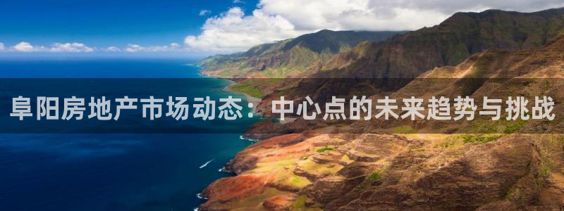 和记黄埔公司官网：阜阳房地产市场动态：中心点的未来趋势与挑战