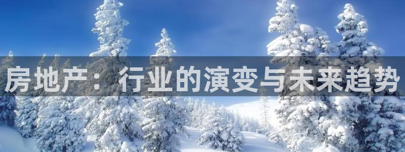 hgc和记官网：房地产：行业的演变与未来趋势