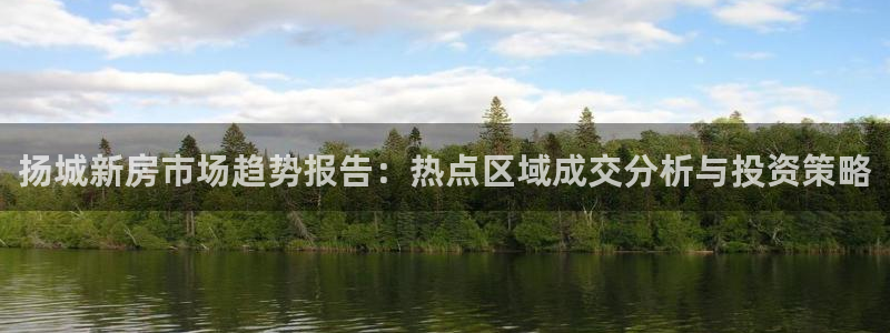 下载和记官网：扬城新房市场趋势报告：热点区域成交分析与投资策