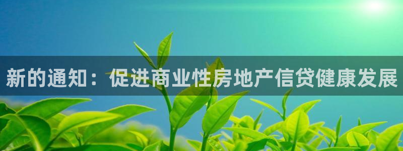 和黄记官网：新的通知：促进商业性房地产信贷健康发展