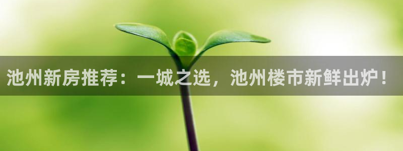 和记平台官网：池州新房推荐：一城之选，池州楼市新鲜出炉！