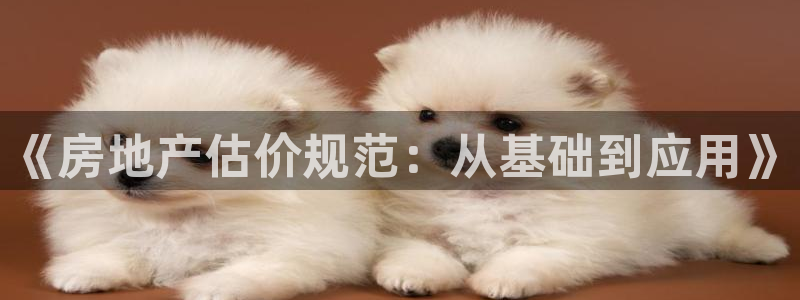 和记租车官网：《房地产估价规范：从基础到应用》