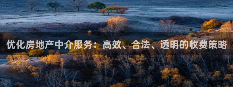 和记娱等级h88285官网：优化房地产中介服务：高效、合法、