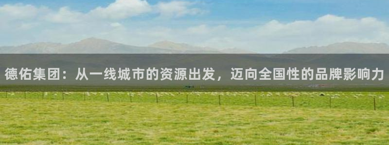 和记h88永久官网：德佑集团：从一线城市的资源出发，迈向全国