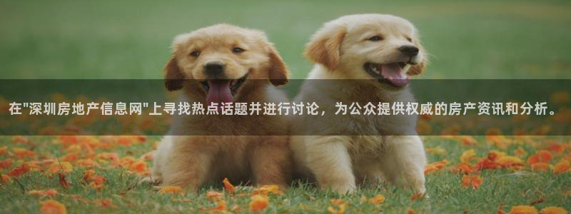 和记电官网：在\