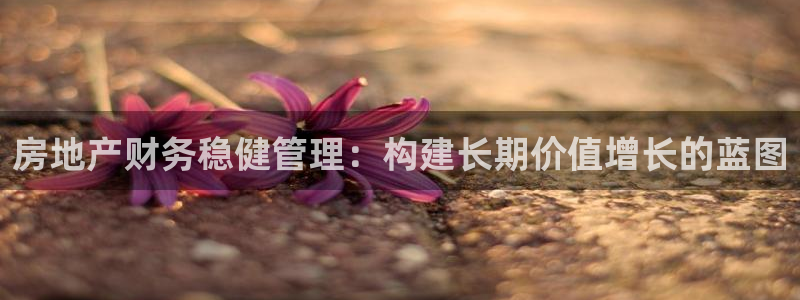 和记3hk官网：房地产财务稳健管理：构建长期价值增长的蓝图