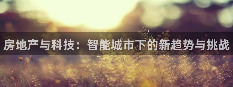 和记洋行官网：房地产与科技：智能城市下的新趋势与挑战