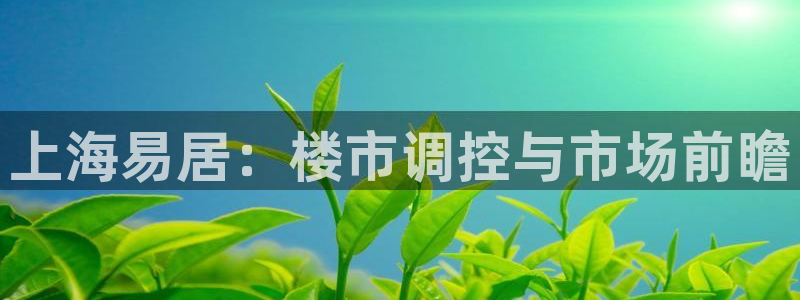 小金库钱包app下载官网和记：上海易居：楼市调控与市场前瞻