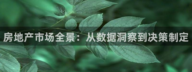 和记国际有限公司官网：房地产市场全景：从数据洞察到决策制定
