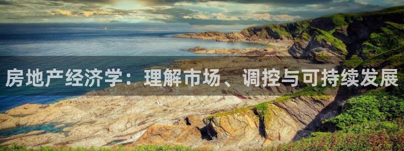 和记app官网登录：房地产经济学：理解市场、调控与可持续发展