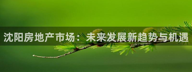 和记集团官网：沈阳房地产市场：未来发展新趋势与机遇
