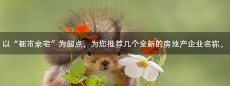 香港和记官网：以“都市豪宅”为起点，为您推荐几个全新的房地产