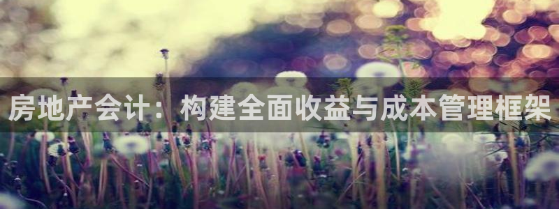 和帆记官网：房地产会计：构建全面收益与成本管理框架