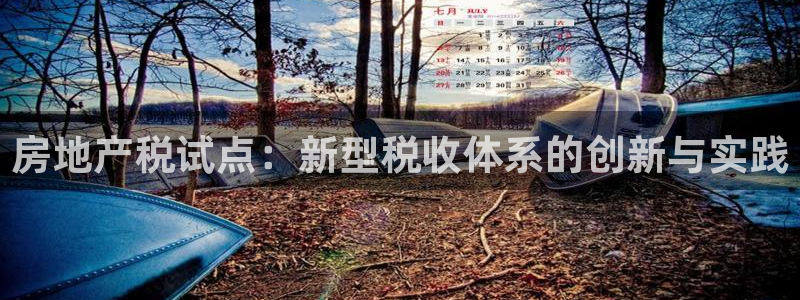 和记官网登录入口：房地产税试点：新型税收体系的创新与实践