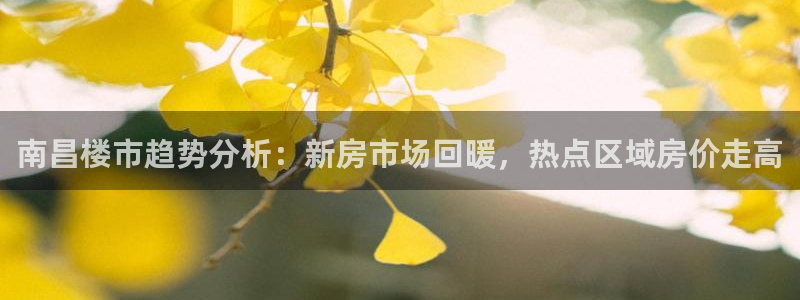 和记平台网站官网：南昌楼市趋势分析：新房市场回暖，热点区域房